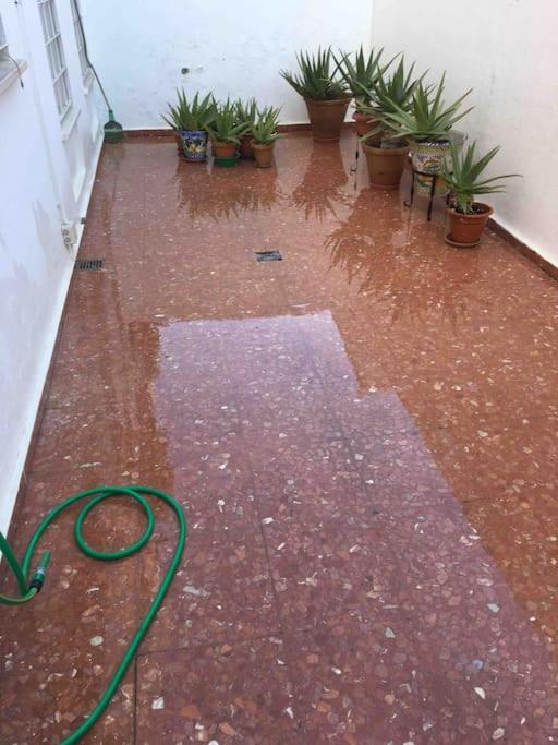 Casa Soleada En Calle Tranquila إشبيلية المظهر الخارجي الصورة