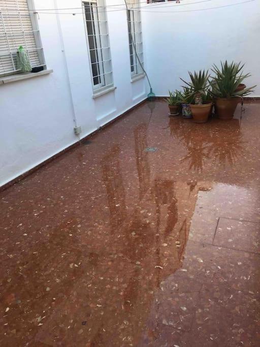 Casa Soleada En Calle Tranquila إشبيلية المظهر الخارجي الصورة