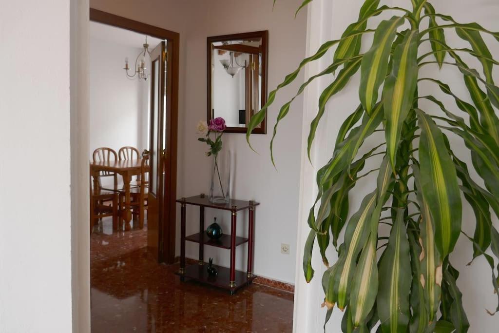 Casa Soleada En Calle Tranquila إشبيلية المظهر الخارجي الصورة